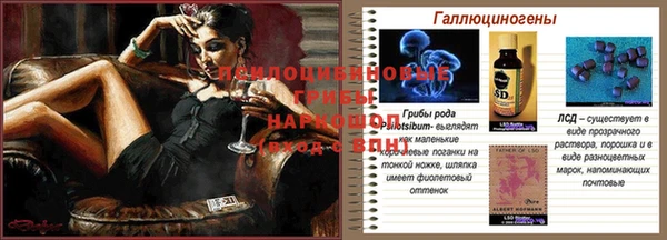 не бодяженный Алексин